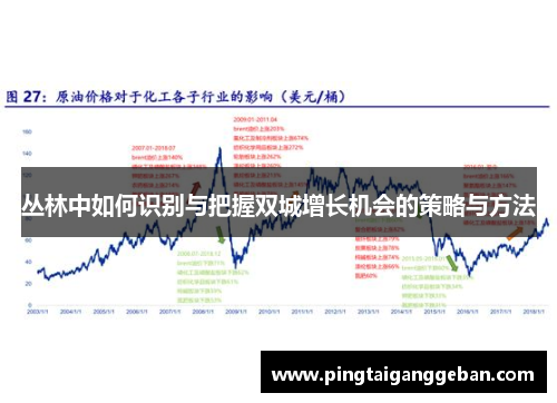 丛林中如何识别与把握双城增长机会的策略与方法