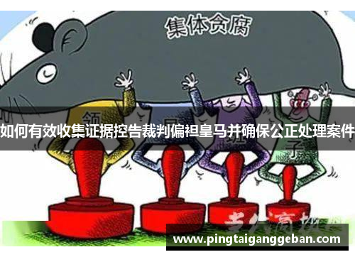 如何有效收集证据控告裁判偏袒皇马并确保公正处理案件