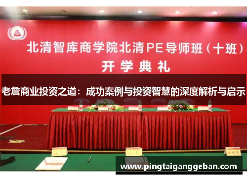 老詹商业投资之道：成功案例与投资智慧的深度解析与启示